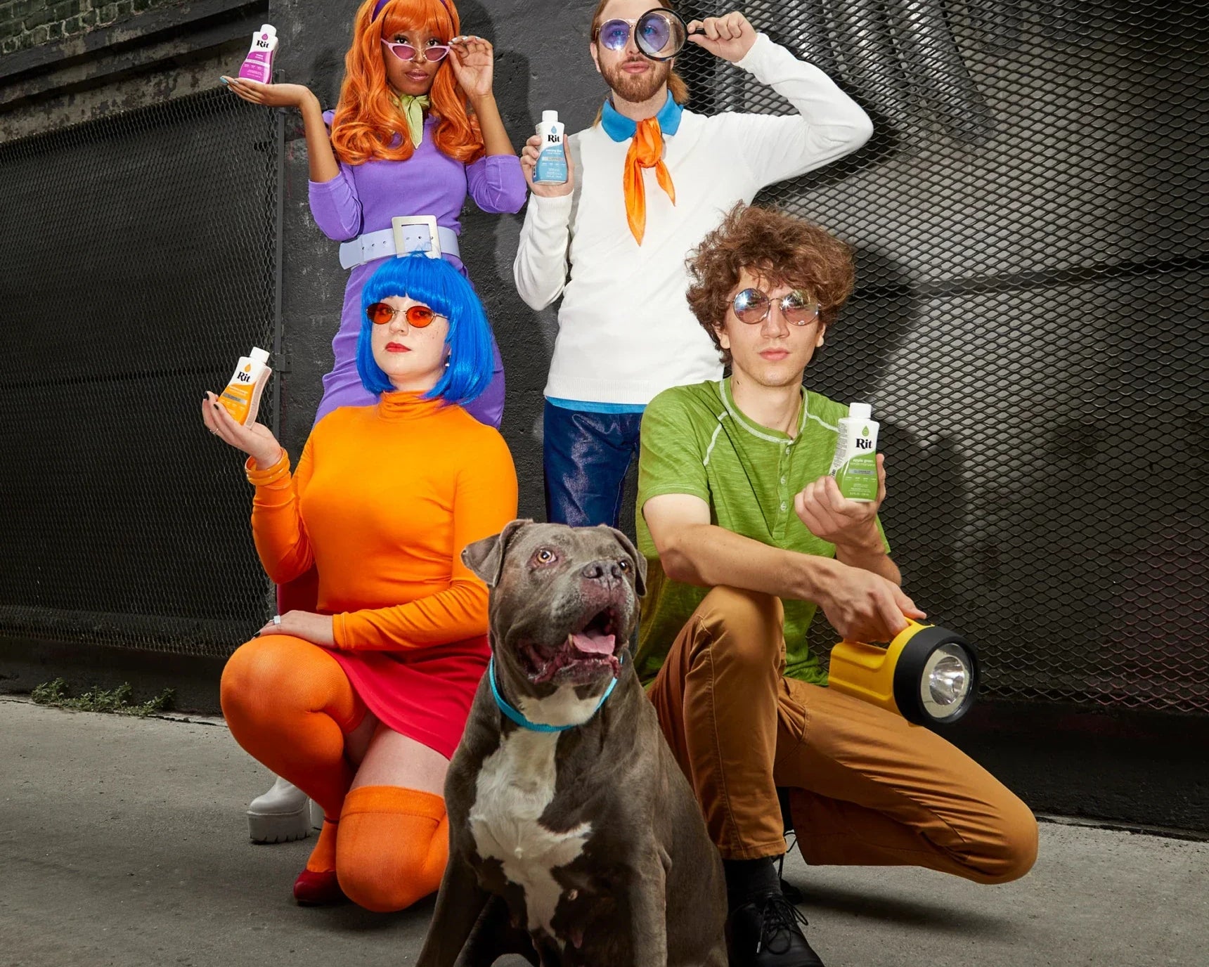 Mystery Gang Group Halloween Costume