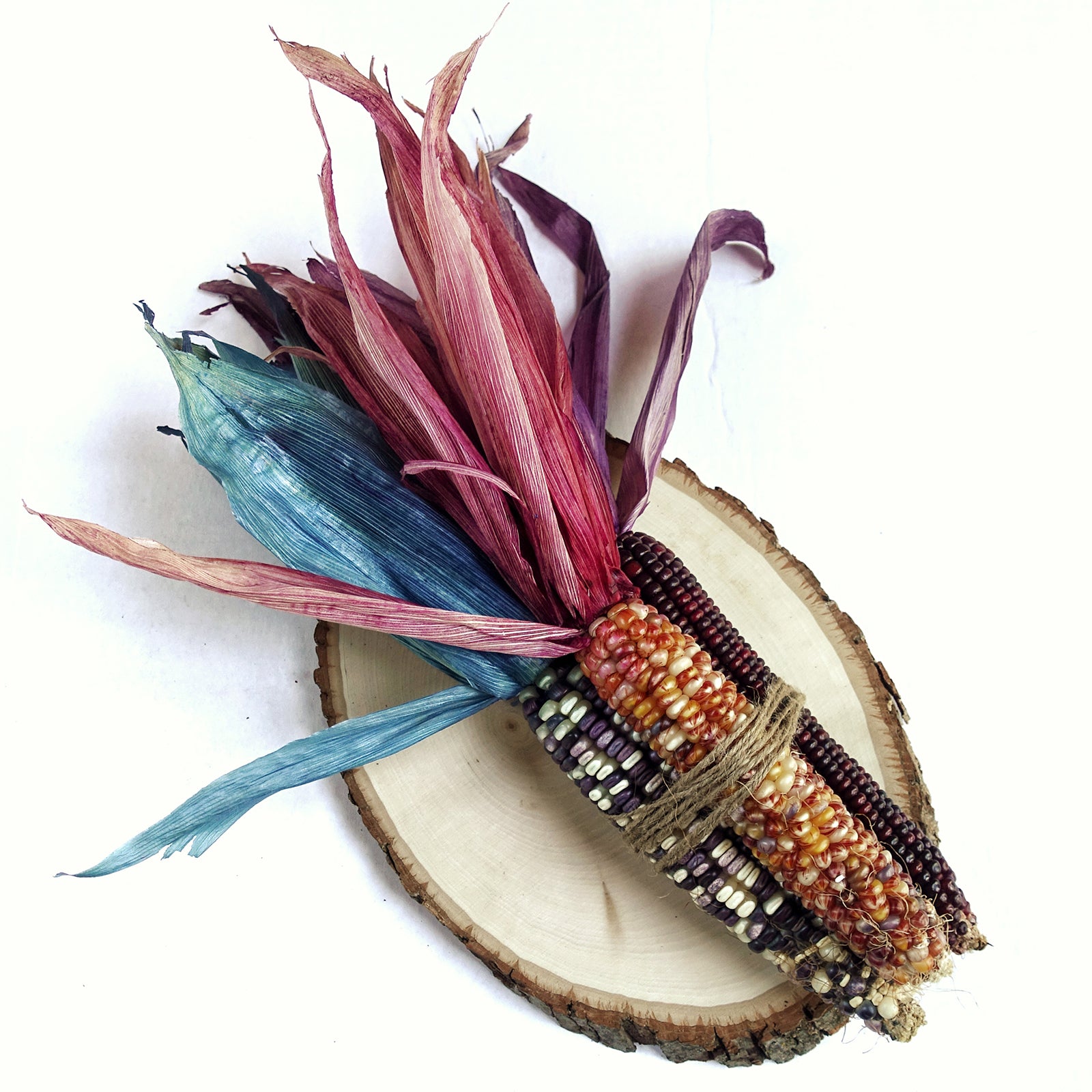 Vopsea pudră universală Rit Cocoa Brown