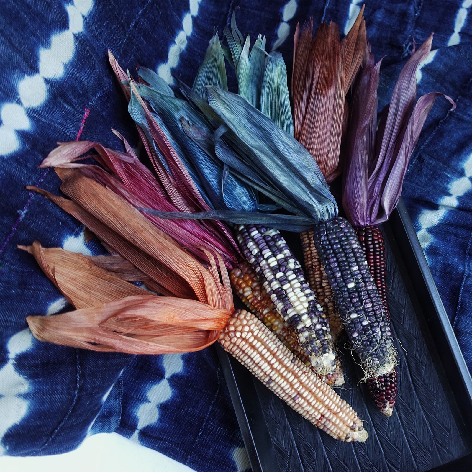 Vopsea pudră universală Rit Cocoa Brown