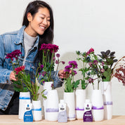 Eggplant All-Purpose Liquid Dye